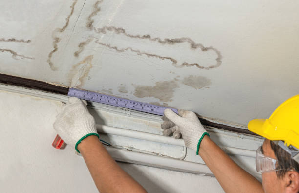 Reliable Water Damage contractor in Bailey, CO by Water Damage Irwin